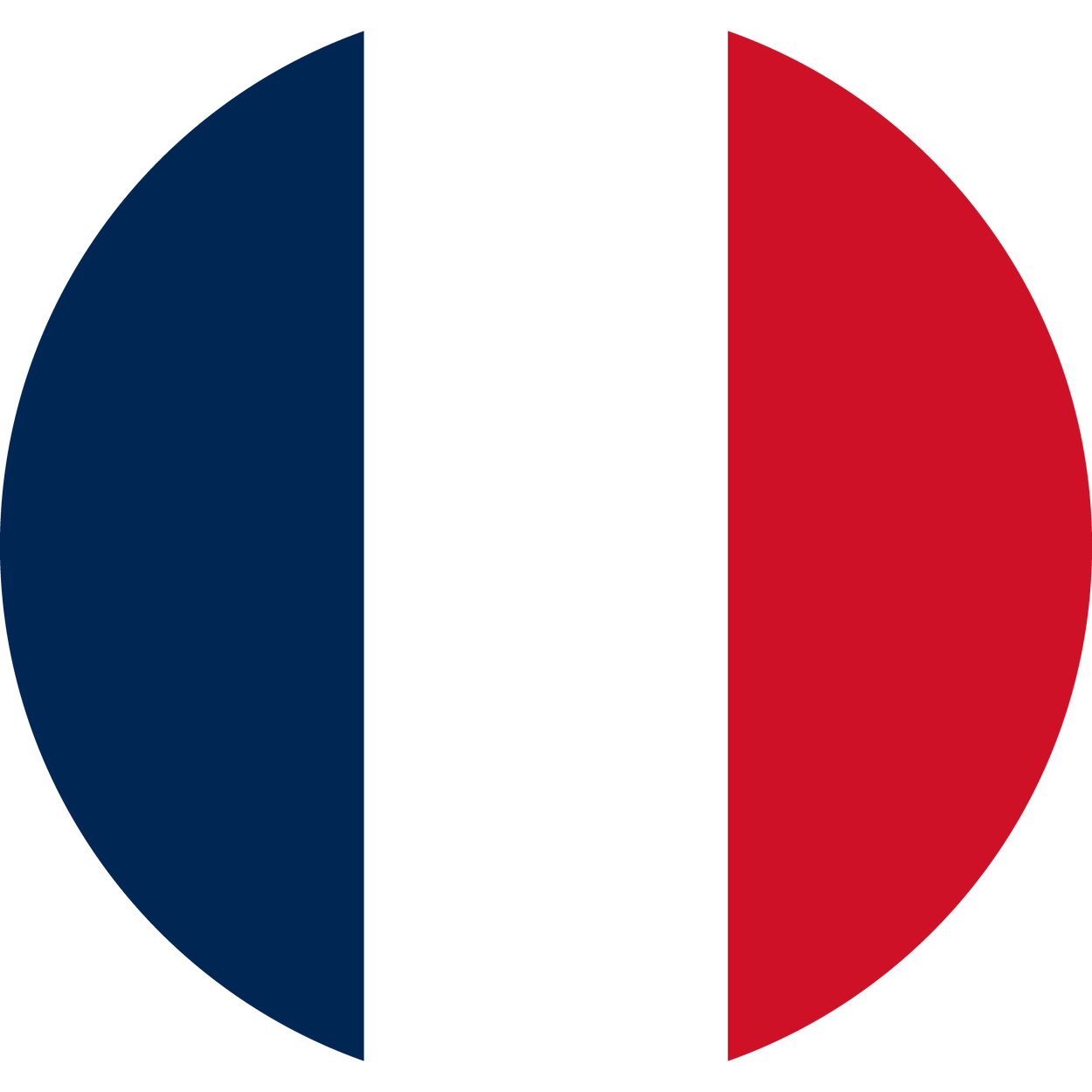 France Flag Round Icon